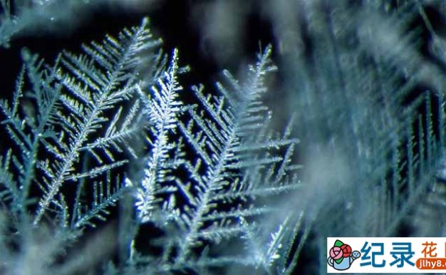 科普纪录片《美丽化学 Beautiful Chemistry》全25集 720P/1080i高清纪录片资源百度云盘下载