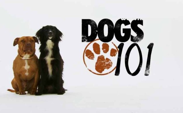 宠物狗指南纪录片《狗狗101全纪录 Dogs 101》第1季全9集中字 纪录片解说素材百度云盘下载 1080/MP4/12.6G