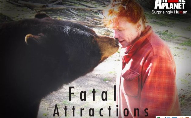 宠物袭击人类事件纪录片《致命宠物 Fatal Attractions》第1季全13集中字 纪录片解说素材百度云盘下载 1080/MP4/28.1G