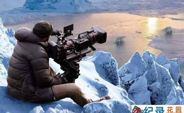 迪士尼影视幕后纪录片《极地熊踪 Bear Witness》全1集中字 1080P纪录片资源百度云盘下载