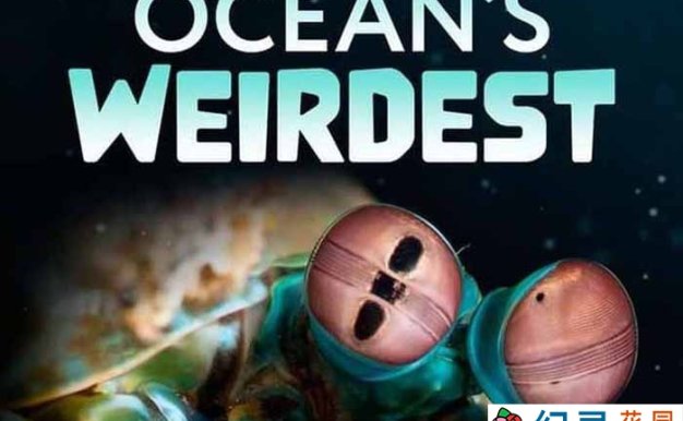 国家地理海中怪客纪录片《奇异的海洋 Oceans Weirdest》第1季中字 1080P纪录片资源百度云盘下载