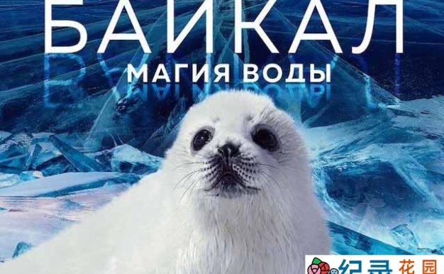 水文生态纪录片《神奇的贝加尔湖》全1集中字 1080P纪录片资源百度云盘下载