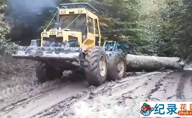 监控下的一幕纪录片《离奇交通事故》第2季原版无字 1080P高清自媒体解说素材百度云盘下载