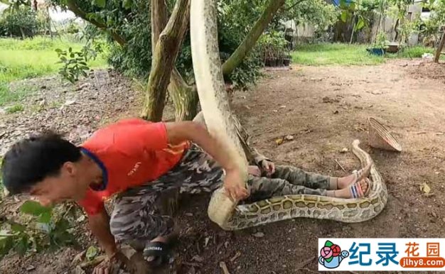 捕蛇纪录片《徒手斗巨蟒》第1季中字 1080P高清自媒体解说素材百度云盘下载