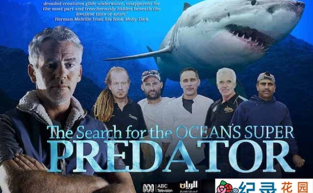 海洋顶级猎食者纪录片《海洋猎食者探秘》全1集中字 TS/蓝光高清纪录片资源百度云盘下载