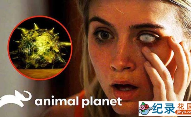 人体微生物研究纪录片《体内的怪物 Monsters Inside Me》第5-8季中字 1080P高清自媒体解说素材百度云盘下载