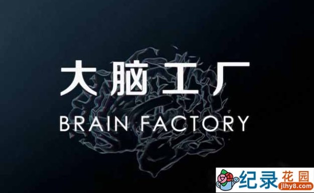 央视人体数字化纪录片《大脑工厂 Brain Factory》全1集 TS/蓝光高清纪录片资源百度云盘下载