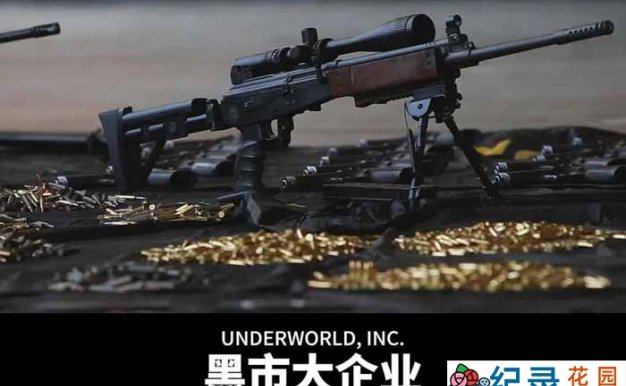 国家地理非法贸易现状纪录片《黑市大企业 Underworld Inc》第1季中字 1080P高清纪录片资源百度云盘下载
