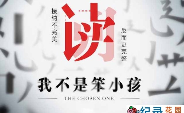 央视阅读障碍症纪录片《我不是笨小孩》全3集 TS/蓝光高清纪录片资源百度云盘下载