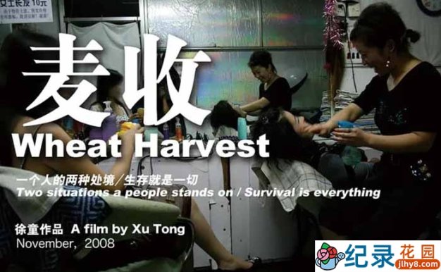 徐童游民三部曲纪录片《麦收 Wheat Harvest》全1集中字 标清纪录片资源百度云盘下载 永久会员专享资源
