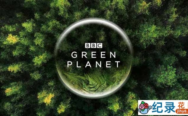 BBC植物研究纪录片《绿色星球 The Green Planet》全5集中字 4K蓝光109G珍藏版纪录片资源百度云盘下载