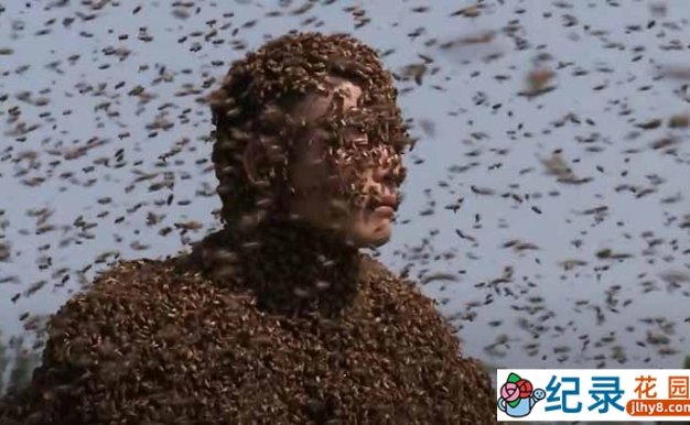 吉尼斯世界纪录真人秀《全球奇人之最》第7季中字 1080高清纪录片解说素材百度云盘下载