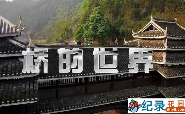 央视桥梁建筑纪录片《桥的世界》全5集 TS/蓝光高清纪录片资源百度云盘下载 永久会员专享资源