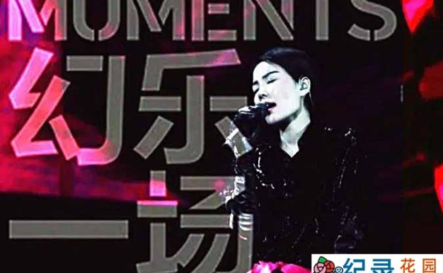 音乐人文纪录片《王菲：幻乐一场》全1集 720P/1080i高清纪录片资源百度云盘下载