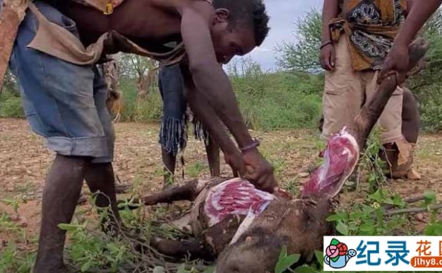 非洲原始部落生活纪录片《走进非洲狩猎部落》全1季中字 1080P高清自媒体解说素材百度云盘下载