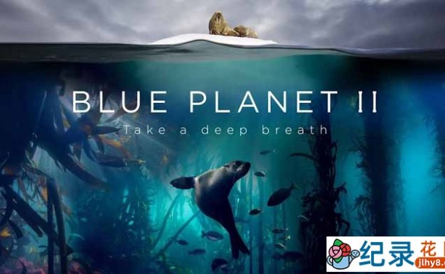 BBC海洋生态纪录片《蓝色星球The Blue Planet》第2季 720P/1080i高清纪录片百度云下载