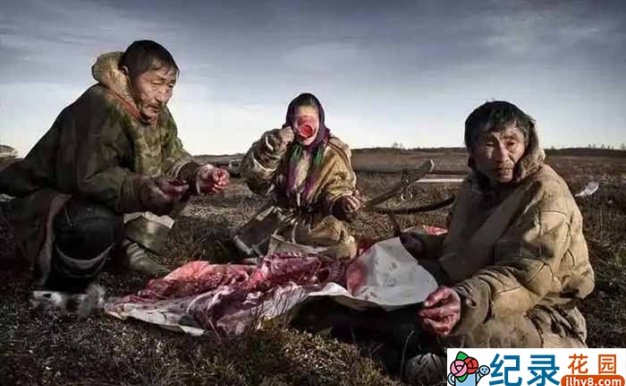 历史人文纪录片《消失的极地猎人:因纽特人 Netsilik Eskimo》合集中字 1080P高清自媒体解说素材百度云盘下载