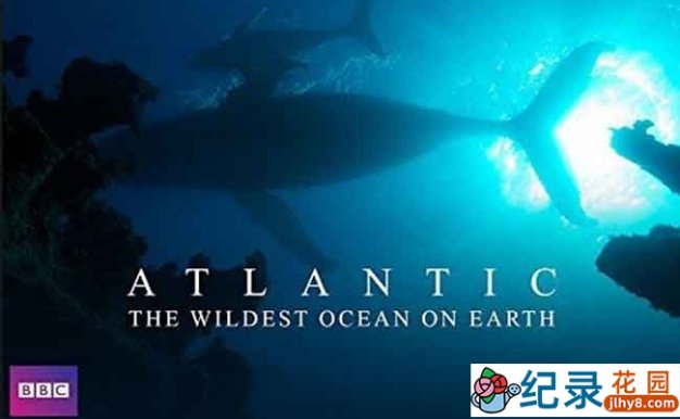 BBC海洋生态纪录片《大西洋:地球最狂野的海洋 Atlantic: The Wildest Ocean on Earth》全3集 720P/1080i高清纪录片百度云