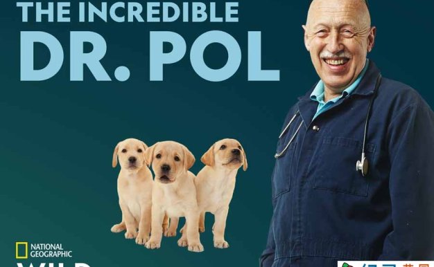 国家地理妙手兽医纪录片《动物神医 The Incredible Dr.Pol》第5季全10集中字 纪录片解说素材百度云盘下载 1080/MKV/25.9G