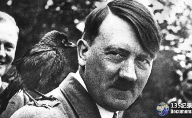 历史人物纪录片《希特勒:职业生涯 Hitler eine Karriere》全1集 720P/1080i高清纪录片百度云下载