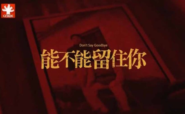 传统文化保护纪录片《能不能留住你 Don’t Say Goodbye》全1集中字 纪录片资源百度云盘下载 1080P/MP4/2.28G