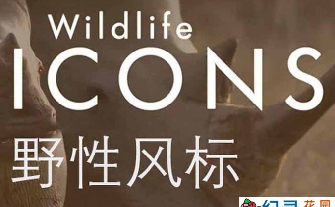 非洲野生动物纪录片《野性风标 Wild Life Icons》第1季中字 1080P纪录片资源百度云盘下载
