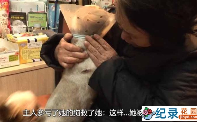 SBS韩国动物保护纪录片《拯救动物》第4季180集中字 720P/1080i高清纪录片资源百度云盘下载