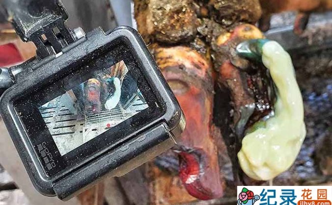 解压治愈纪录片《修剪牛蹄》第3季中字 1080高清纪录片解说素材百度云盘下载