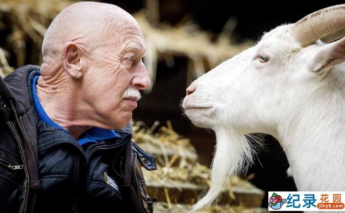 国家地理妙手兽医纪录片《动物神医 The Incredible Dr.Pol》第15季全11集中字 纪录片解说素材百度云盘下载 720/MKV/12.5G