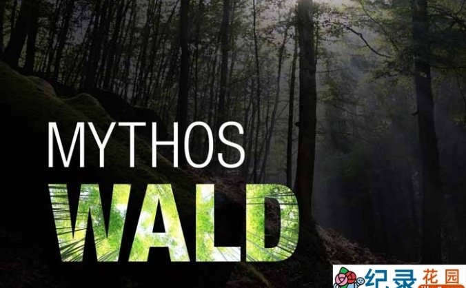 德国自然生态纪录片《神话的森林 Mythos Wald》全2集 720P/1080i高清纪录片百度云下载