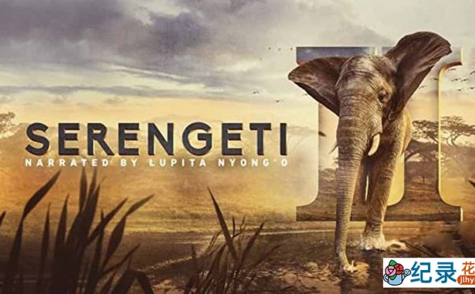 BBC自然生态纪录片《塞伦盖蒂 Serengeti》第2季全6集中字 纪录片资源百度云盘下载 1080/MKV/24.2G