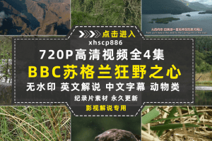 BBC野生动物纪录片高地苏格兰狂野之心中视频自媒体解说视频素材