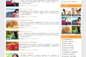 Discuz 多配色城市门户-D2 商业版套装