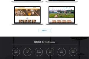 (自适应手机端)IT互联网设计公司网站源码 网络建站公司pbootcms模板