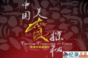 美食文化纪录片《中国美食探秘》全8集 标清纪录片资源百度云盘下载