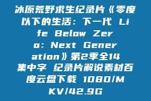 冰原荒野求生纪录片《零度以下的生活：下一代 Life Below Zero：Next Generation》第2季全14集中字 纪录片解说素材百度云盘下载 1080/MKV/42.9G