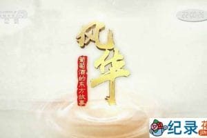 央视葡萄酒产业纪录片《风华-葡萄酒的东方故事》全1集 TS/蓝光高清纪录片资源百度云盘下载