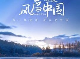 风度中国