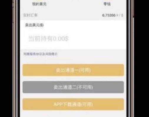 C203 金融理财源码_二开币圈趣投美金版+完整视频带教程