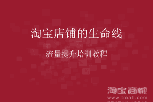 淘宝店铺的生命线-流量提升培训教程_电商运营教程