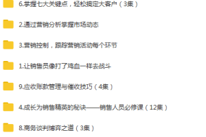 销售精英培训班：让员工跟打鸡血一样拼