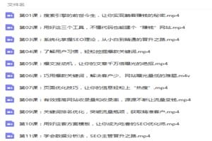 零基础学SEO引爆流量躺赚 SEO视频教程