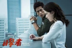 悬疑电影《目击者之追凶》恐怖惊悚电影影视解说自媒体素材文案/片源下载