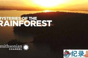 央视自然生态纪录片《热带雨林的奥秘 Mysteries of the Rainforest》全1集 TS/蓝光高清纪录片资源百度云盘下载