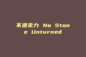 不遗余力 No Stone Unturned