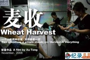 徐童游民三部曲纪录片《麦收 Wheat Harvest》全1集中字 标清纪录片资源百度云盘下载 永久会员专享资源