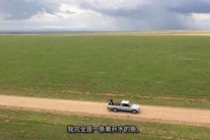 原始生活21天 第15季 Naked and Afraid Season 15