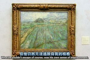 文森特· 凡· 高全传 Vincent: The Full Story