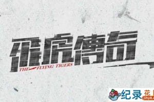 PTS二战纪录片《飞虎传奇 The Flying Tigers》全4集 720P/1080i高清纪录片百度云下载