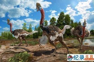 国家地理生物进化纪录片《演化足迹 迅猛火鸡 Dino Turkey》全1集 720P/1080i高清纪录片百度云下载